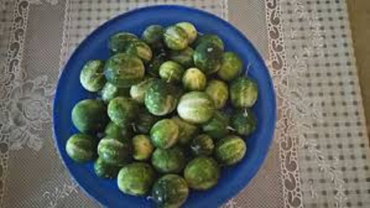 पायाने कारटे फोडणं हे "अभ्यंगस्नान" परंपरेचा एक भाग आहे. अभ्यंगस्नानापूर्वी कारटे फोडणं हे एक प्रतीकात्मक शुद्धीकरण समजलं जातं. हे फळ फोडणं म्हणजे त्या नरकाच्या अंधारातून प्रकाशाकडे वाटचाल, अशी श्रद्धा आहे.