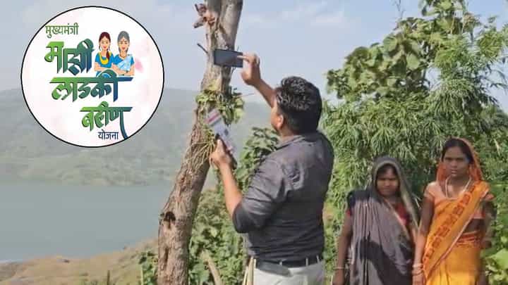 Ladaki Bahin Yojana : कुणी नेटवर्क देतं का नेटवर्क... लाडक्या बहिणी E-KYC साठी थेट डोंगरावर! 1500 रू. साठी काय पण! Ladaki Bahin Yojana : कुणी नेटवर्क देतं का नेटवर्क... लाडक्या बहिणी E-KYC साठी थेट डोंगरावर! 1500 रू. साठी काय पण!