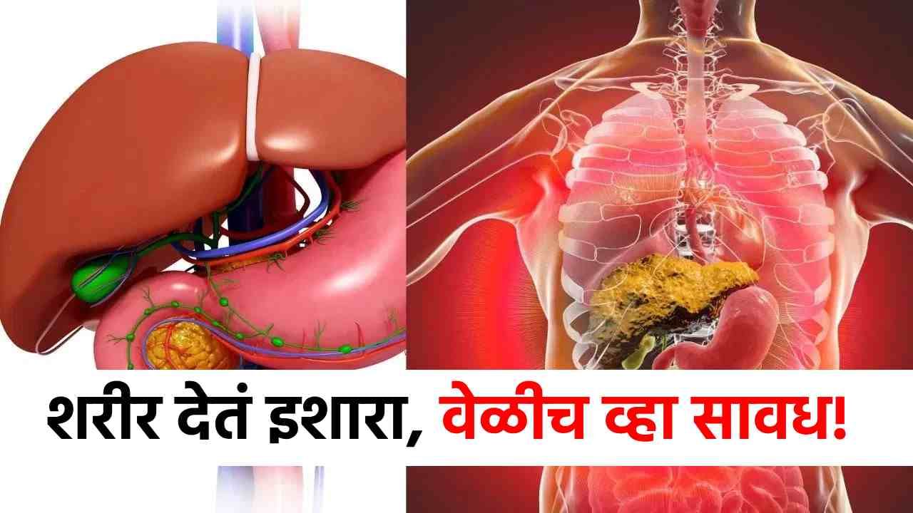 लघवीचा रंग बदलतोय? समजून जा शरीर देतंय मोठा इशारा, लगेच डॉक्टरांकडे जा अन्यथा...