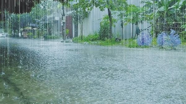Maharashtra Weather Update : पुढील 48 तास धोक्याचे, समुद्रात लालबावटा फडकला; तुमच्या शहरात पावसाची काय स्थिती?