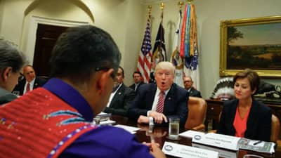 अमेरिकेतून भारतीयांना बाहेरचा रस्ता? जगात खळबळ, डोनाल्ड ट्रम्प यांना विनंती, थेट म्हटले, एकही भारतीय नाही जो...