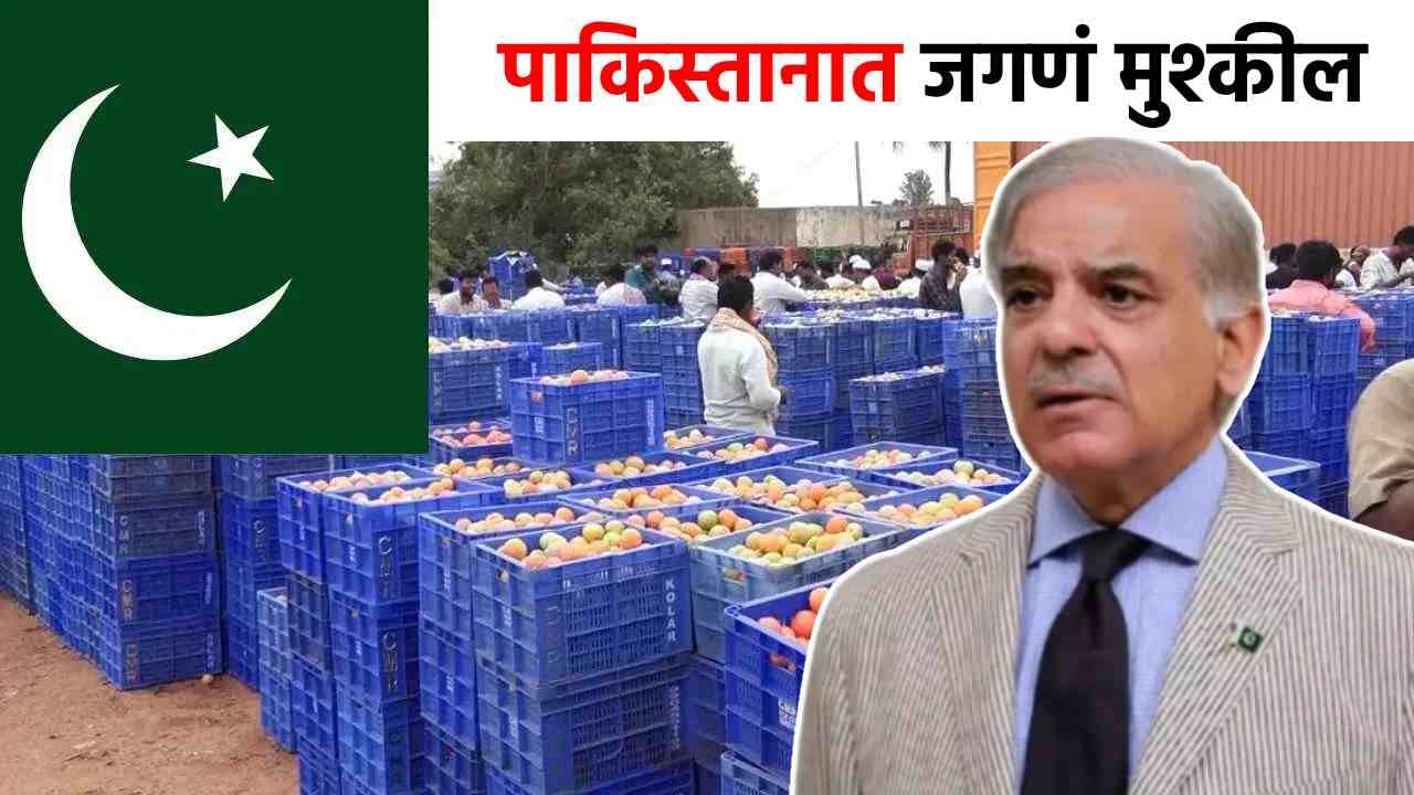 Pakistan Inflation : पाकिस्तान भिकेला लागला, एका टोमॅटोसाठी तब्बल...महागाईमुळे जगणं कठीण! Pakistan Inflation : पाकिस्तान भिकेला लागला, एका टोमॅटोसाठी तब्बल...महागाईमुळे जगणं कठीण!