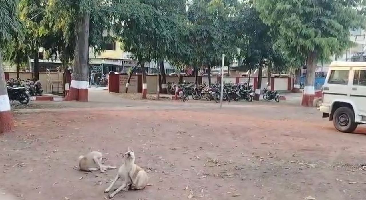 गेल्या काही दिवसांपासून राज्यात गुन्हेगारी प्रकरणात वाढ झाली आहे. यातही महिला अत्याचाराच्या प्रकरणात तर लक्षणीय वाढ झाली असून याबाबत चिंता व्यक्त केली जात आहे. 