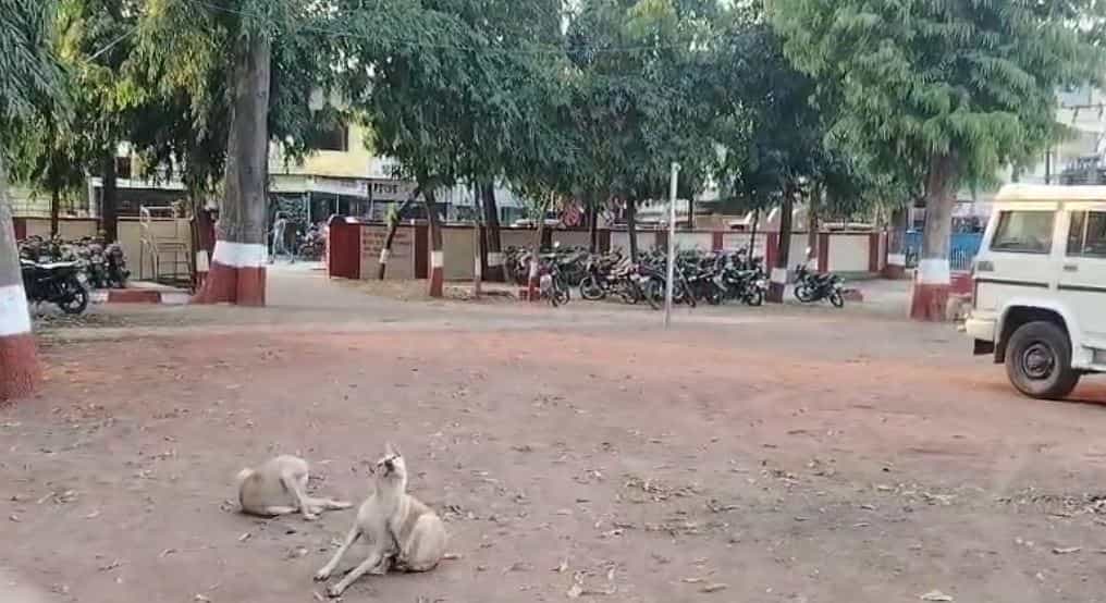 गेल्या काही दिवसांपासून राज्यात गुन्हेगारी प्रकरणात वाढ झाली आहे. यातही महिला अत्याचाराच्या प्रकरणात तर लक्षणीय वाढ झाली असून याबाबत चिंता व्यक्त केली जात आहे.