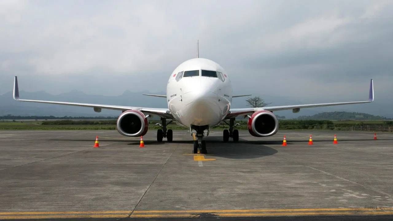 फ्लाइट हॉर्न हा अलार्मसारखा असतो. याद्वारे केबिन क्रू इतर कर्मचाऱ्यांशी संवाद साधला जातो. कोणत्याही समस्येच्या बाबतीत, फक्त हॉर्नद्वारेच इशारा दिला जातो.