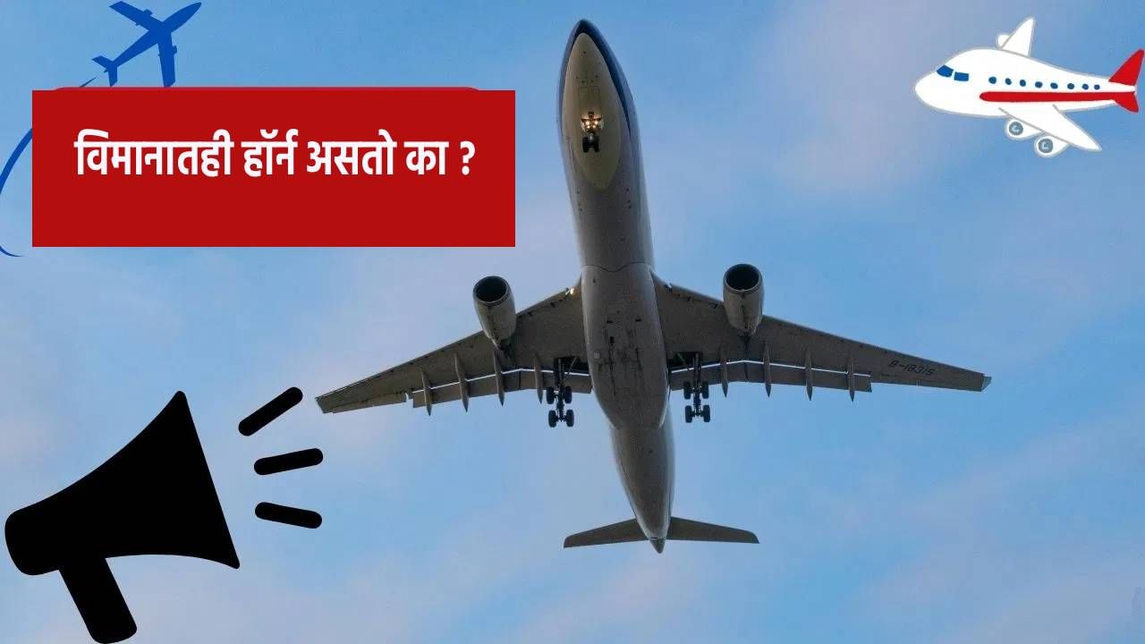 तसेच, जेव्हा विमान उड्डाण करतं तेव्हा ग्राउंड स्टाफला या हॉर्नद्वारे सूचना दिली जाते. जेव्हा विमान उतरते तेव्हा विमानाबाहेर खूप आवाज येतो.