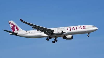 पिस खाऊ नका, ग्रेव्ही खा ना...., फ्लाईटमध्ये शाकाहारीला दिले मांसाहारी जेवण, श्वास कोंडून मृत्यू