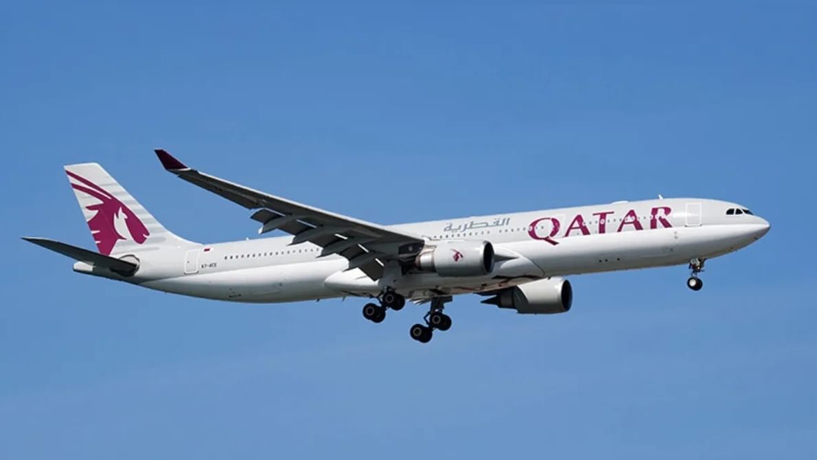 'पिस खाऊ नका, ग्रेव्ही खा ना....,' फ्लाईटमध्ये शाकाहारीला दिले मांसाहारी जेवण, श्वास कोंडून मृत्यू