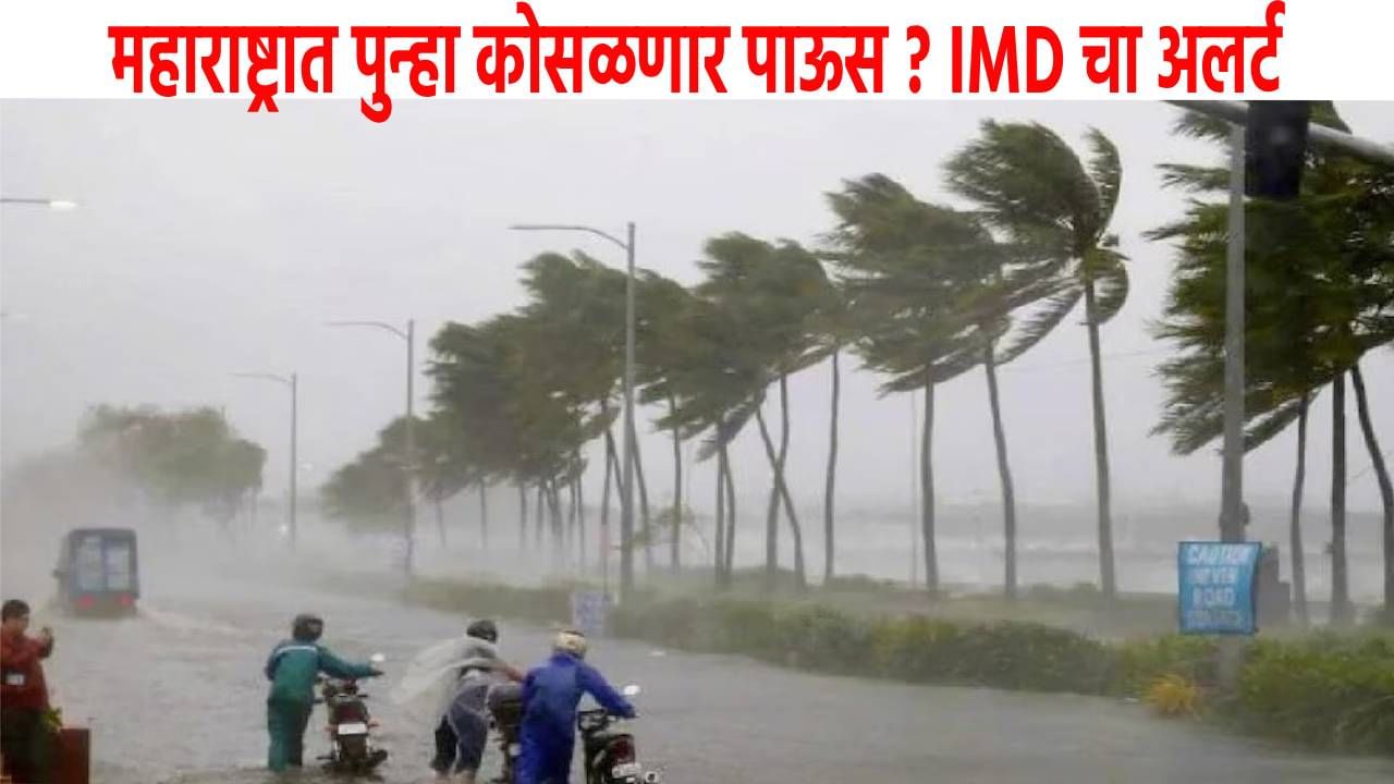 Maharashtra Monsoon : महाराष्ट्रात पुन्हा अस्मानी संकट, 15 ऑक्टोबरला काय होणार ? IMDचा अलर्ट Maharashtra Monsoon : महाराष्ट्रात पुन्हा अस्मानी संकट, 15 ऑक्टोबरला काय होणार ? IMDचा अलर्ट