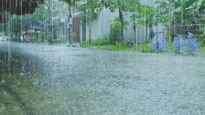 Rain Updates : पुन्हा संकट… शेतकऱ्यांच्या पोटात गोळा, जाता जाता पाऊस पुन्हा झोडपणार, हवामान खात्याचा इशारा काय?