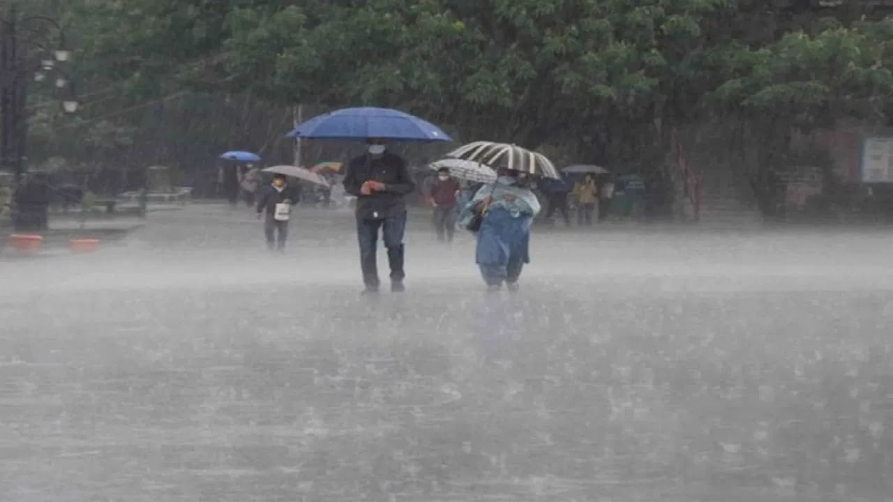 Maharashtra Weather Update : ऐन दिवाळीत धुंवाधार पाऊस, पुढील 72 तास धोक्याचे; कोणत्या जिल्ह्यांना अलर्ट?