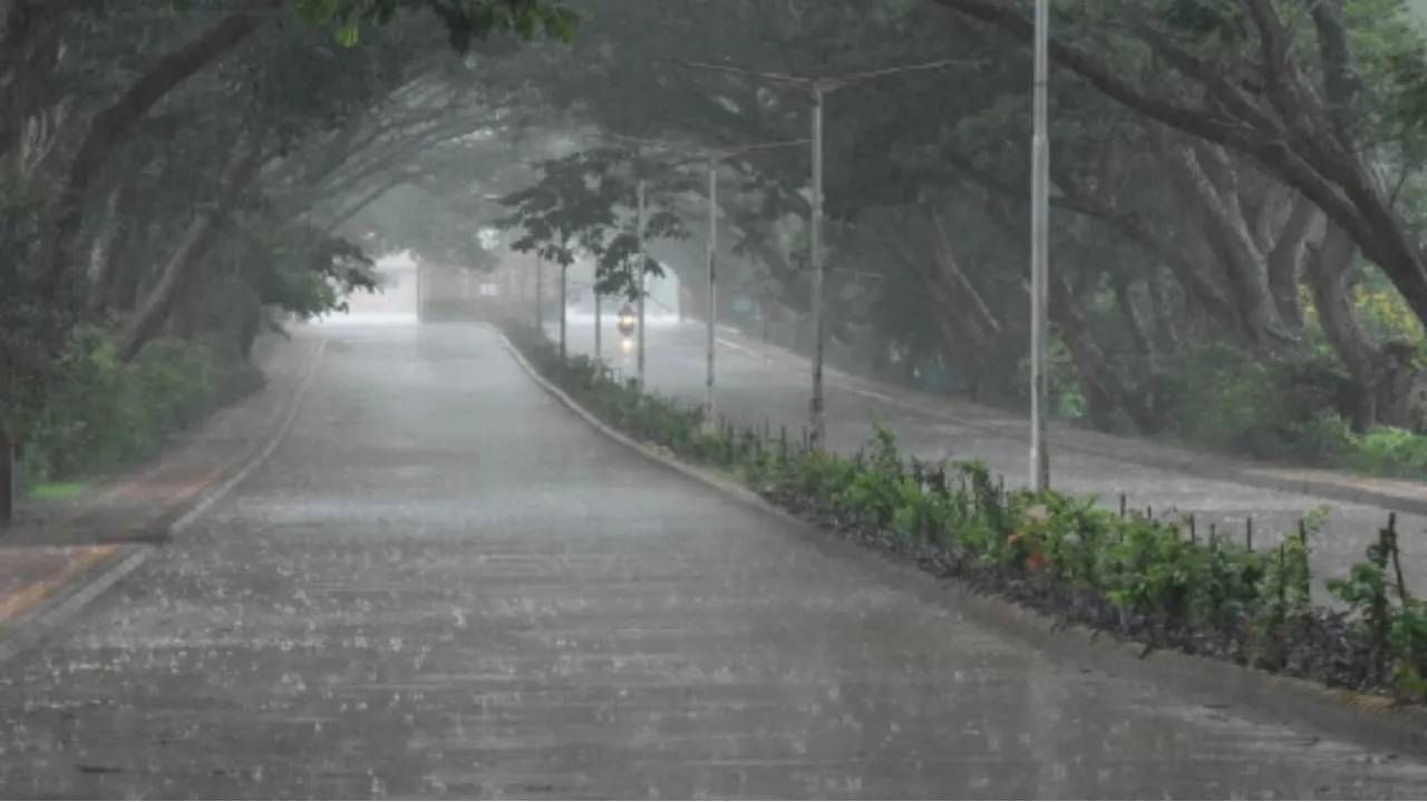 Rain Alert : पुन्हा संकट, महाराष्ट्रात बरसणार पावसाच्या सरी ? हवामान विभागाचा अलर्ट काय  ?