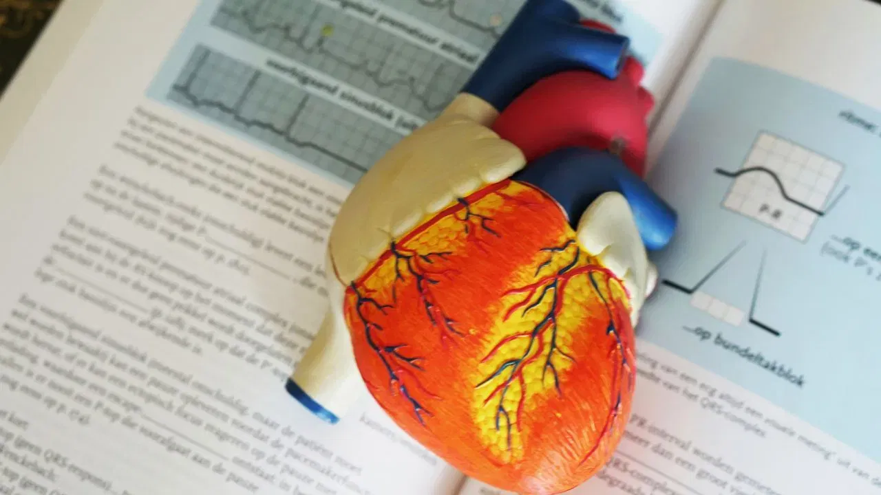 वाइन तज्ज्ञ सोनल हॉलंड सांगतात, रेस्वेराट्रॉल हृदयाच्या आरोग्यासाठी चांगलं आहे, पण त्याची पूर्तता करण्यासाठी रेड वाइन पिणं योग्य नाही. आहारात बेरी, द्राक्षं आणि शेंगदाणे समाविष्ट करून रेस्वेराट्रॉल मिळवता येऊ शकतं. अल्कोहोल कधीच आरोग्यदायी टॉनिक किंवा पेय सिद्ध होऊ शकत नाही. म्हणून मर्यादित प्रमाणात घेणंच उत्तम आहे, याला कायमस्वरूपी पर्याय बनवू नका. (फोटो: Unsplash)