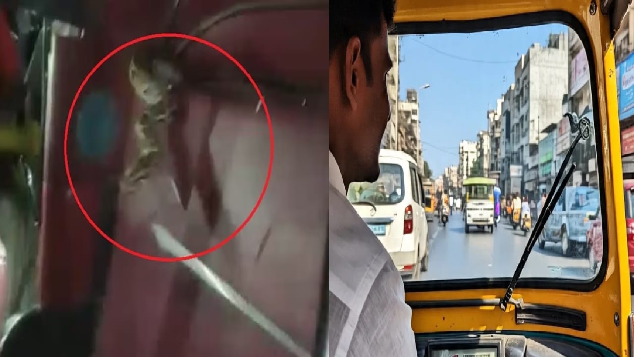 अन् पोटात गोळाच आला... रिक्षातून जात असताना अचानक अजगर आला आणि... काय ...