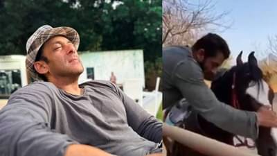 आई शपथ्थ... रात्री 3 वाजता घोड्यांची मिटिंग, सलमान खानच्या फार्महाऊसमध्ये भयंकर पार्टी; अखेर...