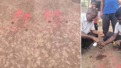 भर रस्त्यावरच खिळे टोचून टाकलं लिंबू, गावकरी घाबरले, तरूणाने त्याचंच केलं सरबत