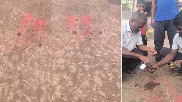 भर रस्त्यावरच खिळे टोचून टाकलं लिंबू, गावकरी घाबरले, तरूणाने त्याचंच केलं सरबत