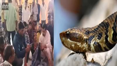 Snake News : दंश का केला.. सापाचा आत्माच येऊन सांगतो ! कुठे भरतो नागराजाचा दरबार  ?