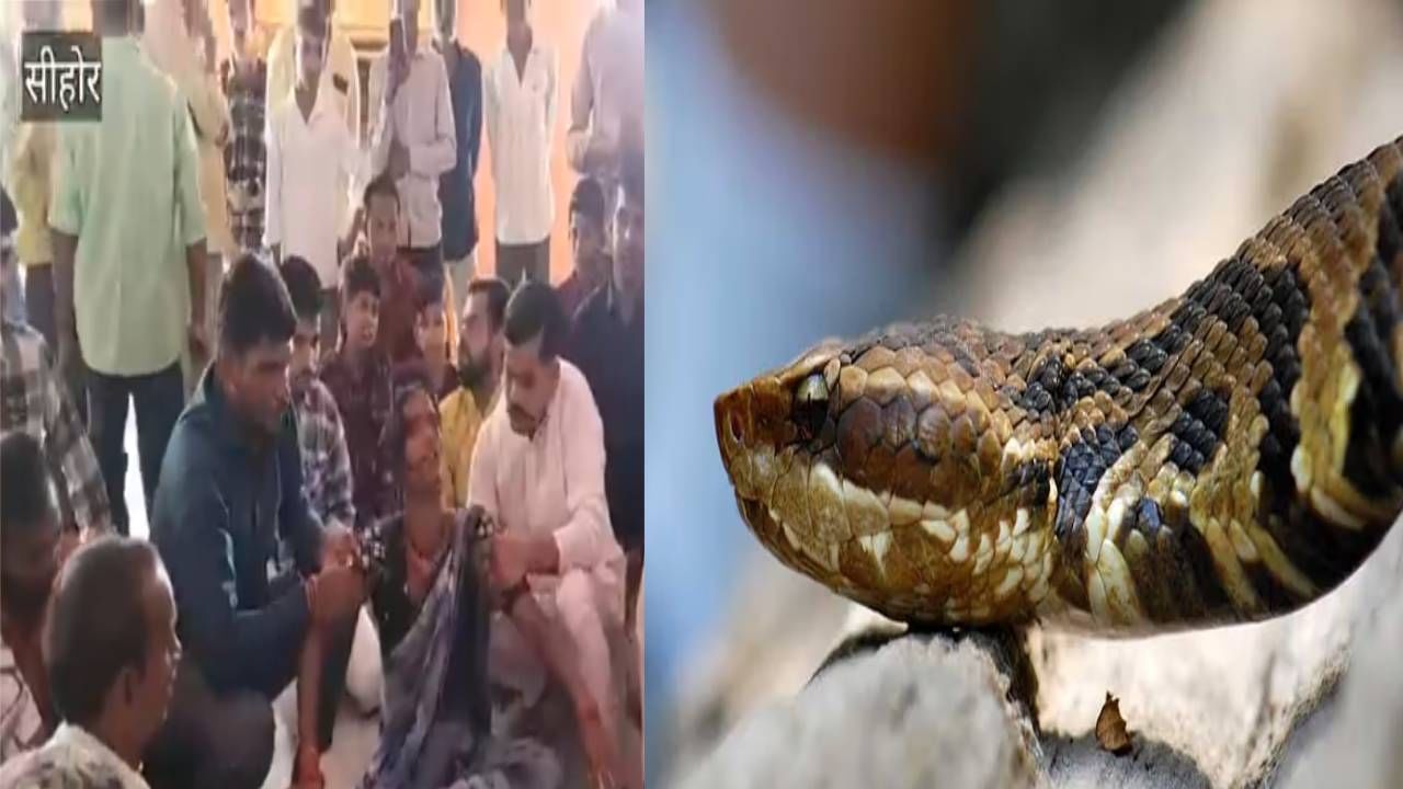 Snake News : दंश का केला.. सापाचा आत्माच येऊन सांगतो ! कुठे भरतो नागराजाचा दरबार ? Snake News : दंश का केला.. सापाचा आत्माच येऊन सांगतो ! कुठे भरतो नागराजाचा दरबार ?