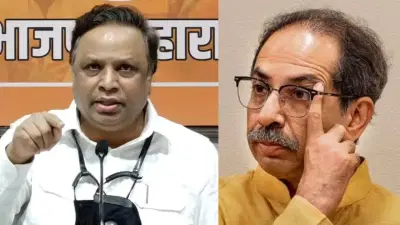 तीच मळमळ... त्याच उलट्या... ठाकरेंच्या आव्हानावर भाजपचा पलटवार, पांचटपणा म्हणत हिणवलं!