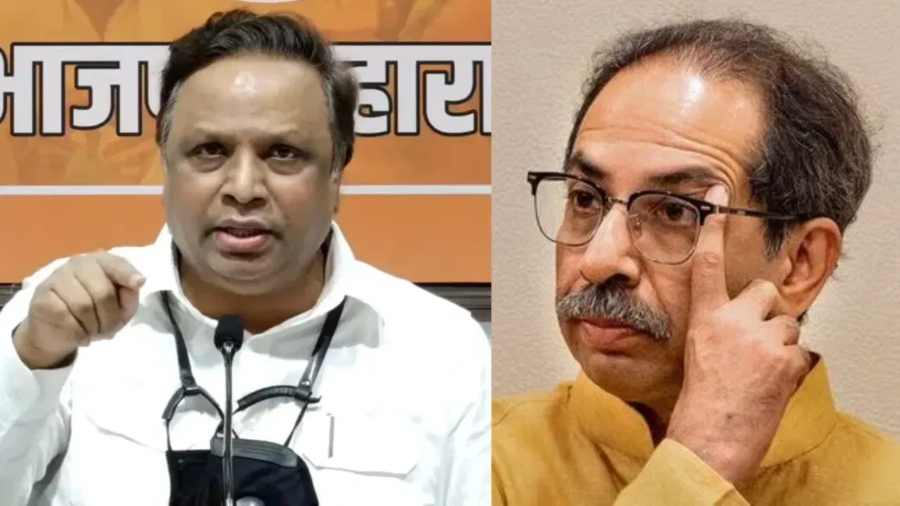 तीच मळमळ... त्याच उलट्या... ठाकरेंच्या आव्हानावर भाजपचा पलटवार, पांचटपणा म्हणत हिणवलं!