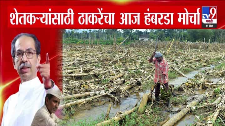 Chhatrapati Sambhaji Nagar : बळीराजासाठी ठाकरेंचा हंबरडा मोर्चा... नुकसानग्रस्त शेतकऱ्यांसाठी सरकारकडे काय मागणी? Chhatrapati Sambhaji Nagar : बळीराजासाठी ठाकरेंचा हंबरडा मोर्चा... नुकसानग्रस्त शेतकऱ्यांसाठी सरकारकडे काय मागणी?