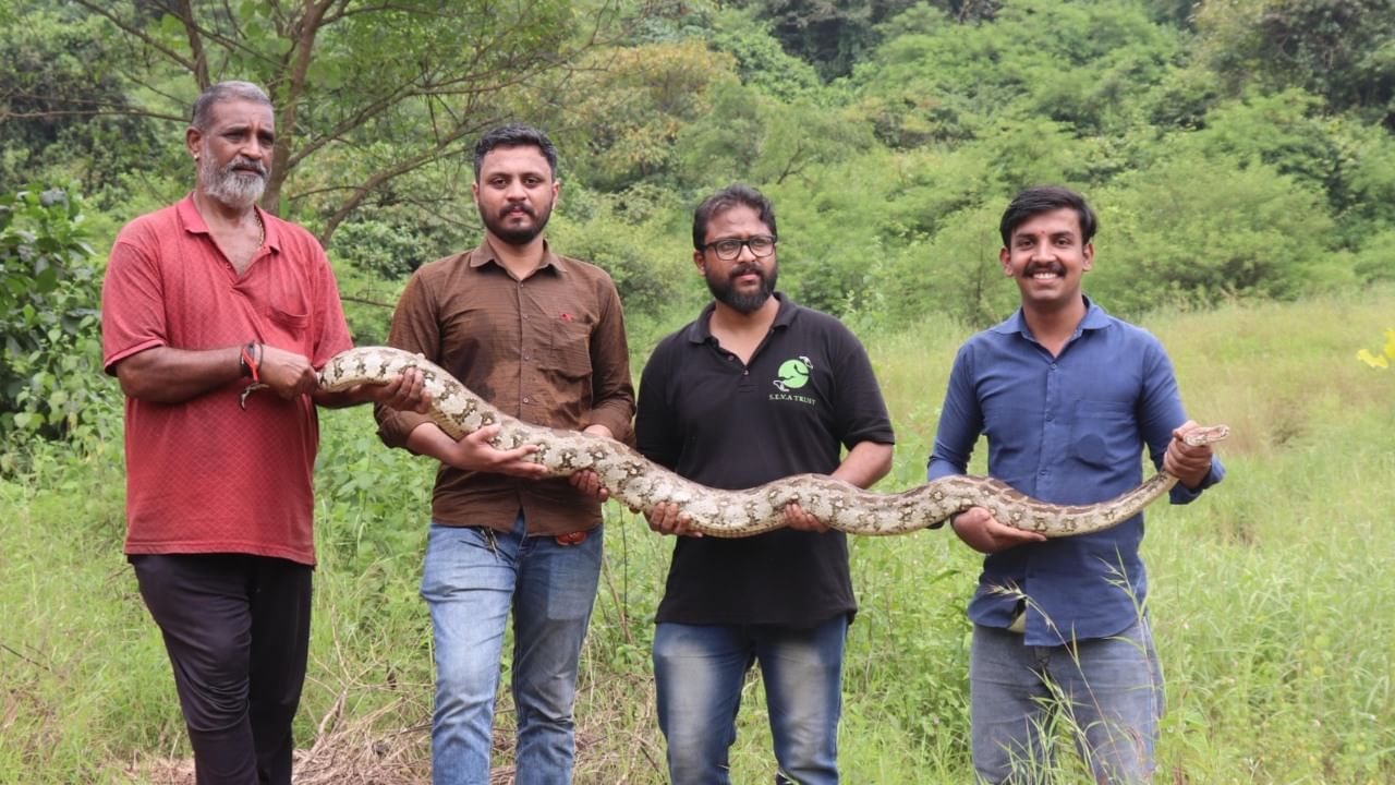 यामुळे परिसरात भीतीचे वातावरण निर्माण झाले. पाटील कुटुंबाने जराही वेळ न घालवता तात्काळ सेवा ट्रस्टला या घटनेची माहिती दिली. ही माहिती मिळताच सेवा ट्रस्टचे कार्यकर्ते आणि सर्पमित्र पुर्वेश कोरी, सुभाष पंडियन आणि ओजस ठोंबरे यांनी त्वरित घटनास्थळी धाव घेतली.