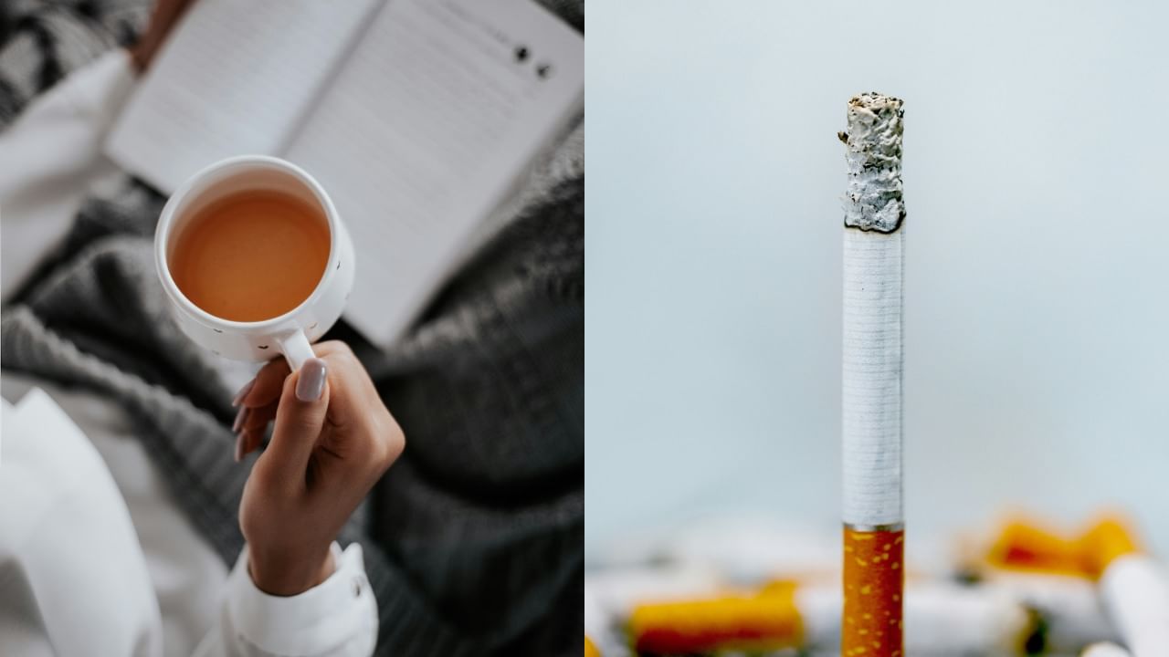 (डिस्क्लेमर : यात देण्यात आलेली माहिती आणि उपलब्ध आरोग्य तज्ज्ञांच्या मतांवर आधारित आहे. कोणत्याही आरोग्य समस्येसाठी कृपया डॉक्टरांचा किंवा आरोग्य तज्ज्ञांचा सल्ला घ्यावा.)