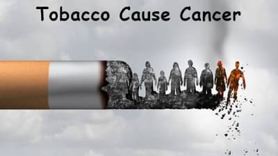 तंबाखू चघळल्याने कॅन्सरचा धोका अधिक, सिगरेटपेक्षाही धोकादायक, नवा रिपोर्ट जाणून घ्या