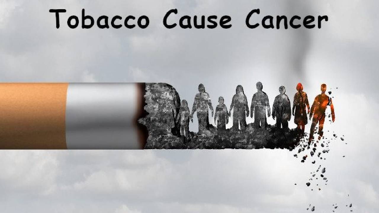 तंबाखू चघळल्याने कॅन्सरचा धोका अधिक, सिगरेटपेक्षाही धोकादायक, नवा रिपोर्ट जाणून घ्या