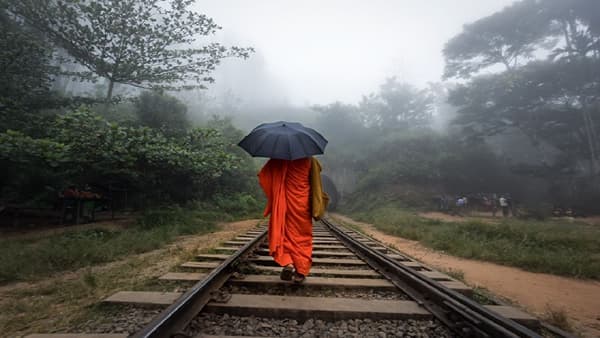 ट्रेनच्या रुळांवर छत्री घेऊन चालताय? व्हा सावधान, बेतेल जीवावर, फार कमी लोकांना माहितेय कारण