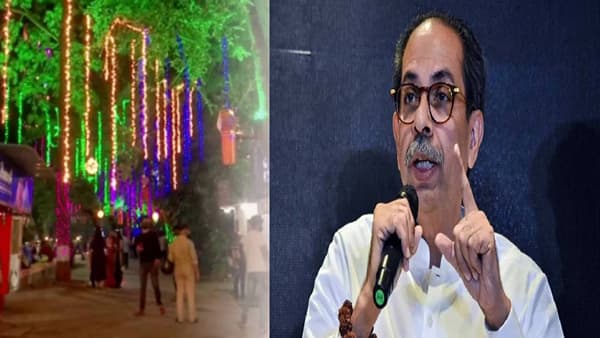 Amit Satam : मनसे दीपोत्सवाच्या उद्घाटनावरुन मुंबई भाजप अध्यक्षांचा उद्धव ठाकरेंना कोंडीत पकडणारा प्रश्न