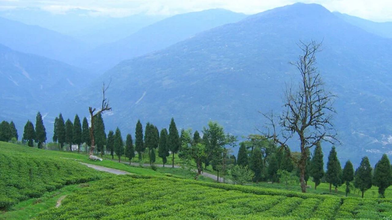 पश्चिम बंगालची सीमा उत्तरेला भूतान, ईशान्येला बांगलादेश आणि वायव्येला नेपाळशी लागून आहे. पश्चिम बंगाल हे लोकसंख्येनुसार भारतातील चौथे सर्वात मोठे राज्य आहे जे बंगालच्या उपसागराच्या काठावर वसलेले आहे.