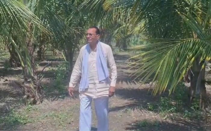 कोकण विभागात वातावरण नारळासाठी पोषक मानले जाते, मात्र वाशिमसारख्या कोरडवाहू हवामानातही नारळ शेती शक्य आहे, हे रमेश धामोडे यांनी आपल्या प्रयोगातून सिद्ध करून दाखवले आहे.