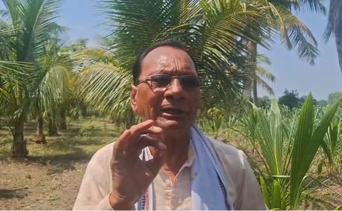 धामोडे यांच्या या यशस्वी प्रयोगामुळे पारंपरिक शेतीच्या पलीकडेही विदर्भातील शेतकऱ्यांसाठी नवे मार्ग खुलं होत असल्याचं चित्र दिसत आहे.कोकणातील पिकं आता विदर्भातही फुलताना दिसत असून, प्रयोगशीलतेतूनच शेतकऱ्यांचं भविष्य उज्ज्वल होऊ शकतं, याचं उदाहरण म्हणजे रमेश धामोडे यांची नारळ शेती आहे.