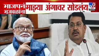 Vijay Wadettiwar : माझ्या अंगावर भाजपनं भुजबळांना सोडलंय अन्… बीडच्या सभेत टार्गेट केल्यानंतर वडेट्टीवारांचा पलटवार