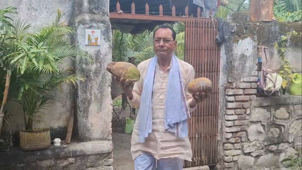 नारळ हे पीक मुख्यतः कोकण विभागातील पोषक हवामानातच घेतले जाते. पण वाशिमसारख्या कोरडवाहू आणि उष्ण हवामानातही नारळ शेती करणे शक्य आहे हे रमेश धामोडे यांनी त्यांच्या यशस्वी प्रयोगातून सिद्ध करून दाखवलं आहे.