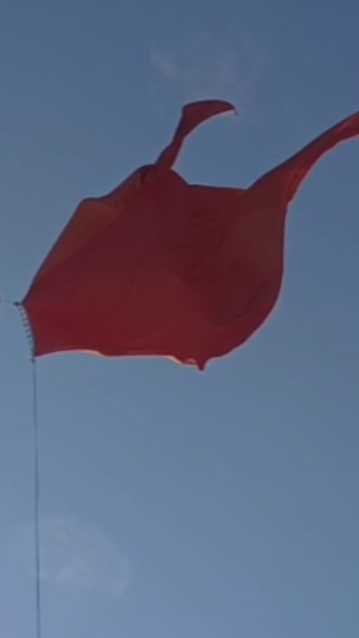 Video: पाटणमध्ये 104 फूट उंचीच्या भगव्या ध्वजाचे लोकार्पण