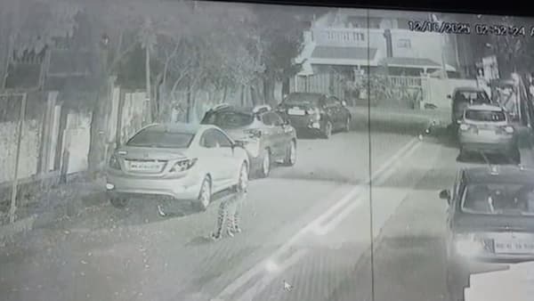 मुंबईकर चिंतेत..सोसायटीत बिबट्याचा मुक्तसंचार, आमदार सुनील प्रभूंचे वनमंत्र्यांना पत्र