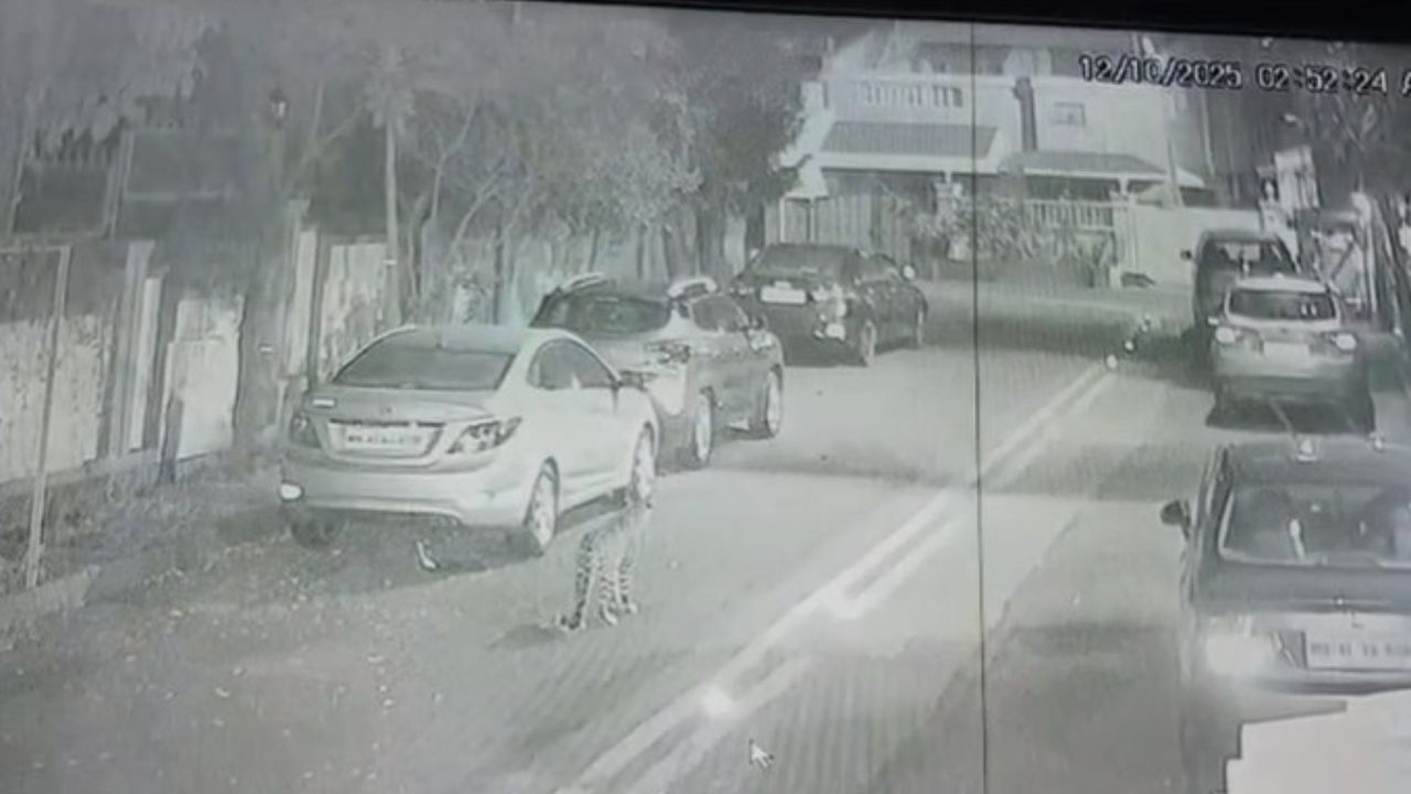 मुंबईकर चिंतेत..सोसायटीत बिबट्याचा मुक्तसंचार, आमदार सुनील प्रभूंचे वनमंत्र्यांना पत्र मुंबईकर चिंतेत..सोसायटीत बिबट्याचा मुक्तसंचार, आमदार सुनील प्रभूंचे वनमंत्र्यांना पत्र