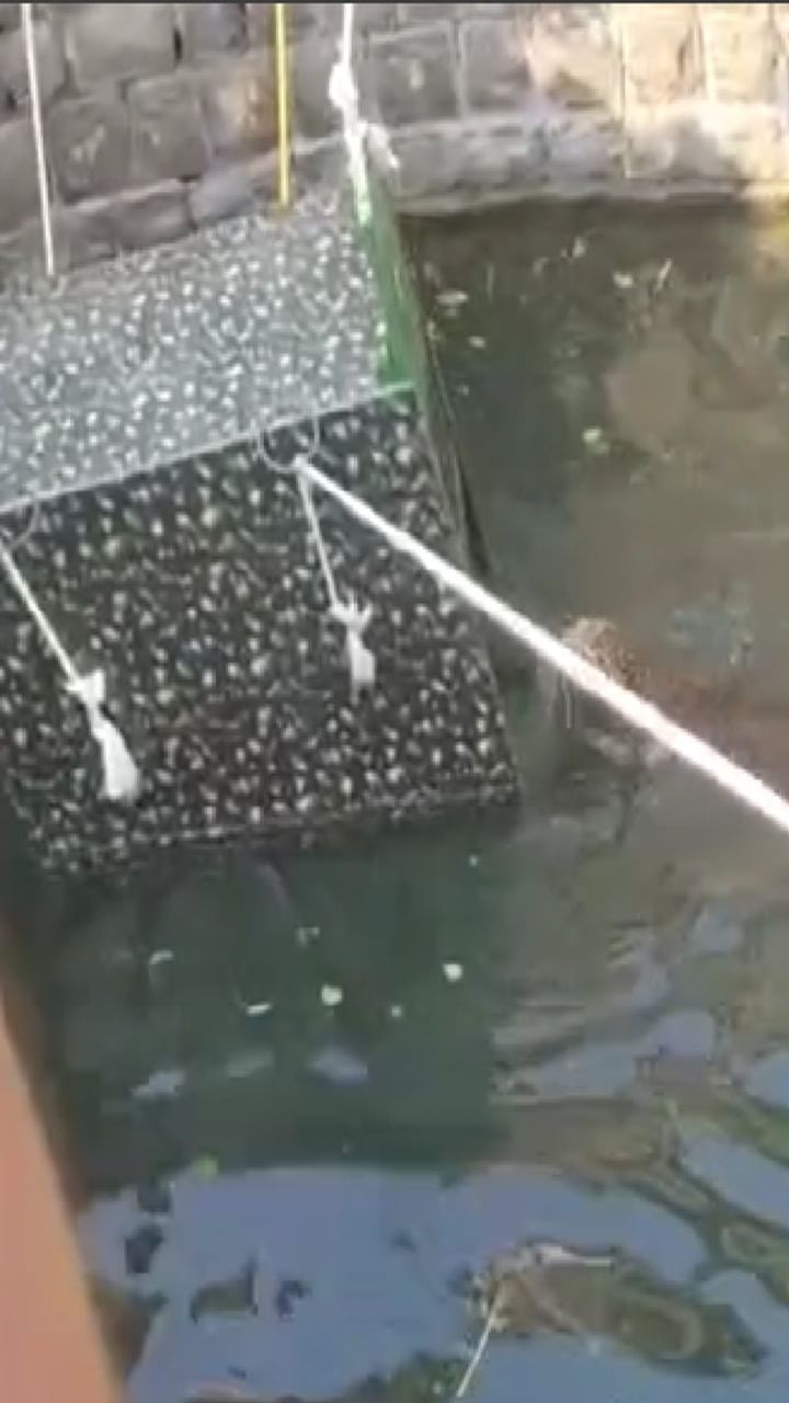 Ahilyanagar : खारे कर्जुने परिसरात अखेर 3 तासानंतर बिबट्या जेरबंद