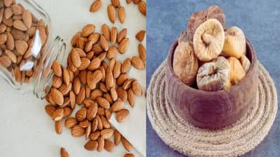 रिकाम्या पोटी अंजीर चांगलं की बदाम, कशामुळे शरीर राहतं उबदार? जाणून घ्या तज्ज्ञाचे मत