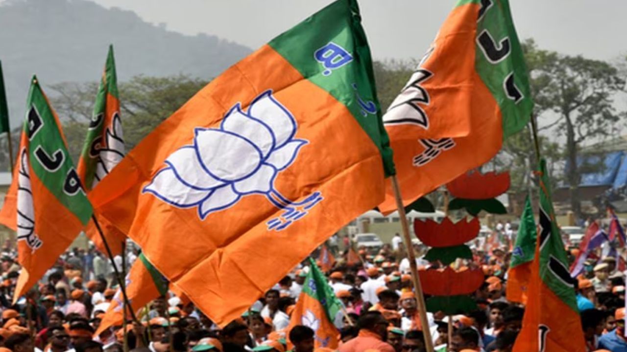 सोलापूरच्या अनगर पंचायतीत भाजपच्या 17 पैकी 17 सदस्यांच्या जागा बिनविरोध झाल्या आहेत. त्यामुळे भाजपकडून जल्लोषाला सुरुवात करण्यात येत आहे. 