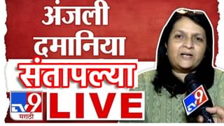 Anjali Damania: ‘हा थर्ड क्लास माणूस’, अंजली दमानिया राष्ट्रवादीच्या या नेत्यावर संतापल्या, का केला इतका उद्धार