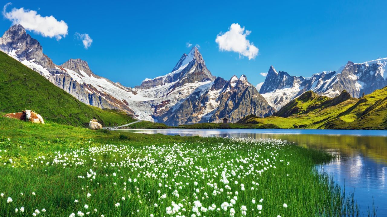 भूतान: भारताच्या शेजारील भूतान या देशाला 'पर्वतांचा देश' असे म्हणतात. या देशाचा सुमारे 98.8 % भाग पर्वतांनी व्यापलेला आहे. 