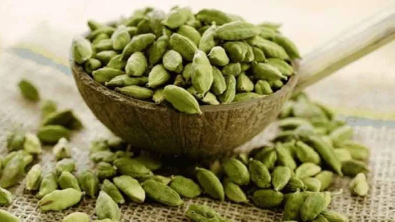 दररोज 2 वेलची खाल्ल्यामुळे शरीरात दिसून येतील 'हे' बदल....