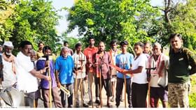 चंद्रपूरमध्ये वाघाची मोठी भीती; गुराखी बनले त्रिशूलधारी