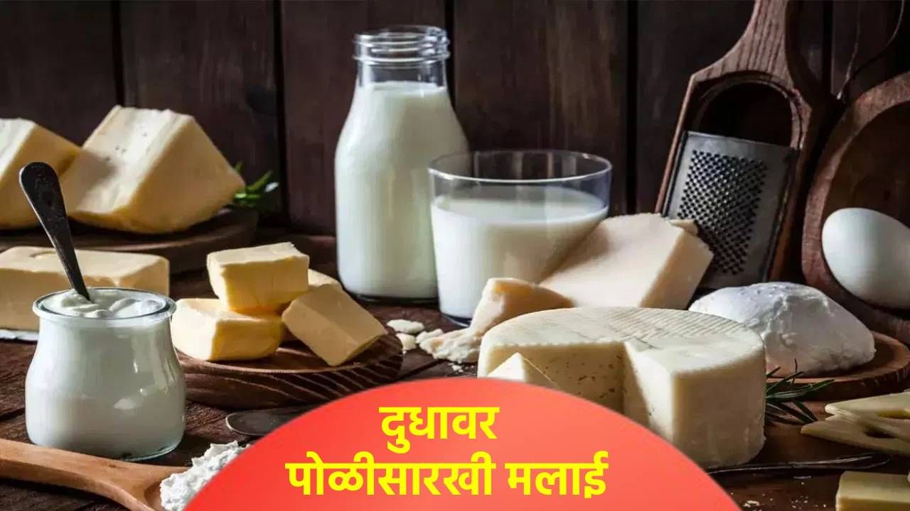 दुधावर पोळीसारखी मलाई जमा होईल, ट्रिक जाणून घ्या