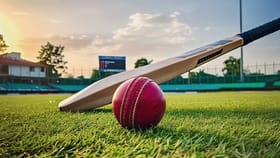 7 खेळाडूंना मोठा झटका, फिक्सिंगच्या आरोपामुळे ऑक्शनमधून नाव हटवलं!