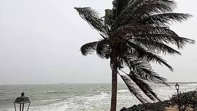 दित्वा चक्रीवादळाचा राज्यात कुठे अन् काय परिणाम? श्रीलंकेत आणीबाणी